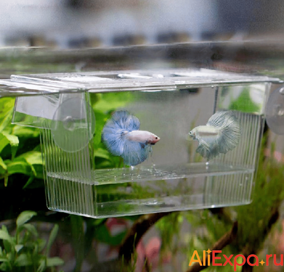 Отсадник в аквариум для мальков купить на Алиэкспресс